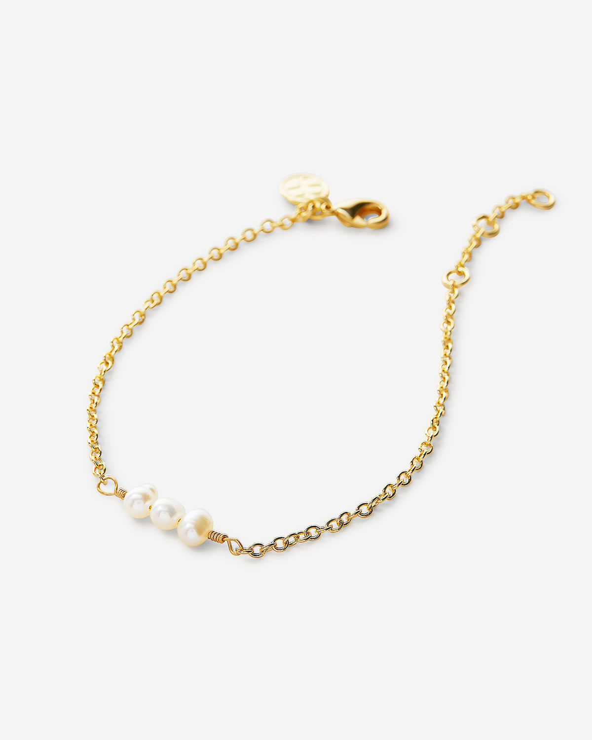 Bryan Anthonys Grit Gold Chain Bracelet Macro