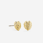 Bryan Anthonys Gold Breathe Stud Earrings Macro
