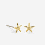 Bryan Anthonys Gold Renew Stud Earrings Macro