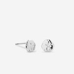 Bryan Anthonys Silver Sea Seeker Stud Earrings Macro