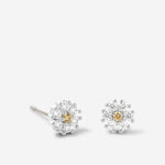 Bryan Anthonys Bloom Clear Silver Stud Earrings Macro