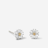 Bryan Anthonys Bloom Clear Silver Stud Earrings Macro