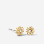 Bryan Anthonys Bloom Yellow Gold Stud Earrings Macro