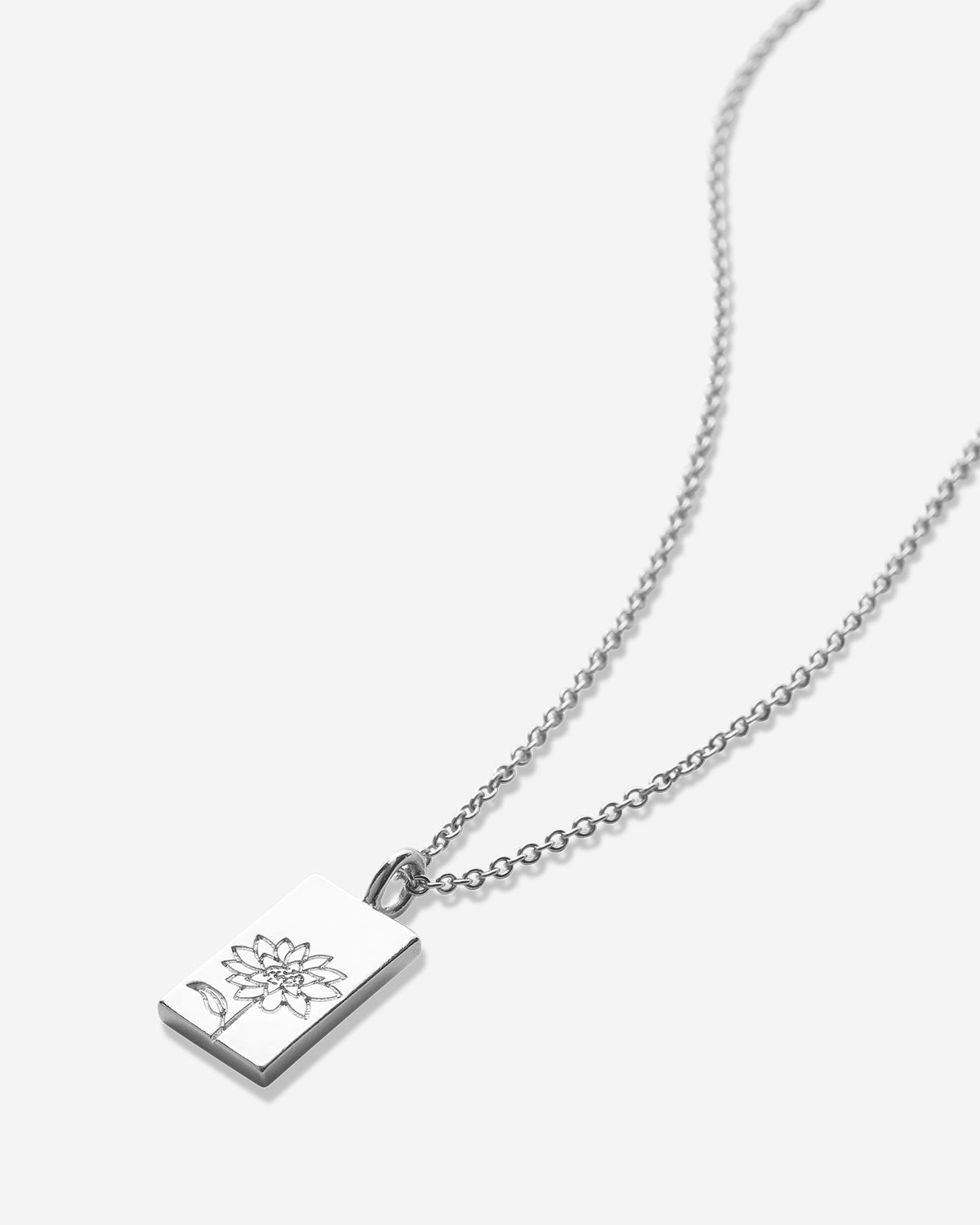 Bryan Anthonys Chasing Light Silver Necklace Macro Shot