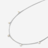 Bryan Anthonys Silver Gold Choker Necklace Macro