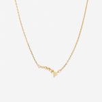 In The Heart Of Necklace — Hawaii close up