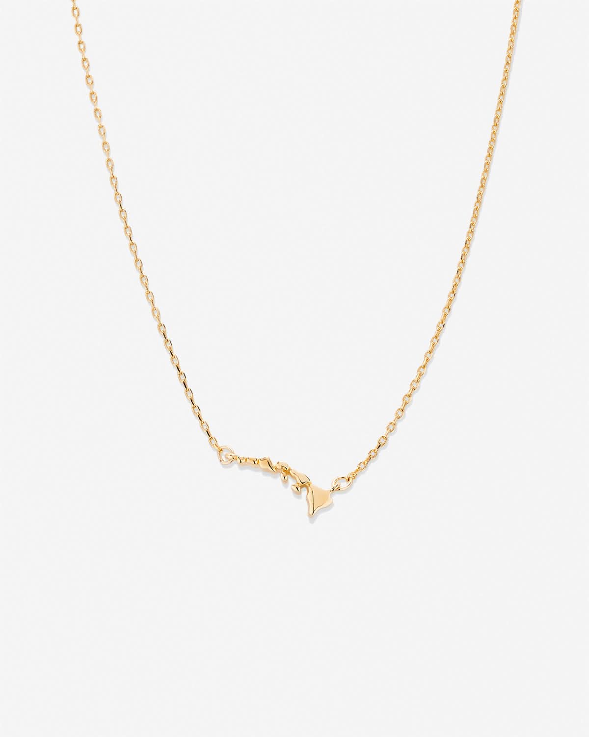 In The Heart Of Necklace — Hawaii close up