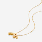 In The Heart Of Necklace — Maryland close up