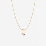 In The Heart Of Necklace — Mississippi close up