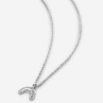 Bryan Anthonys Overcome Silver Rainbow Necklace Macro