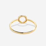 Bryan Anthonys Family Ring Gold